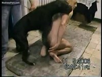 Man is fucked by his dog